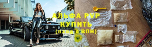 винт Алексин