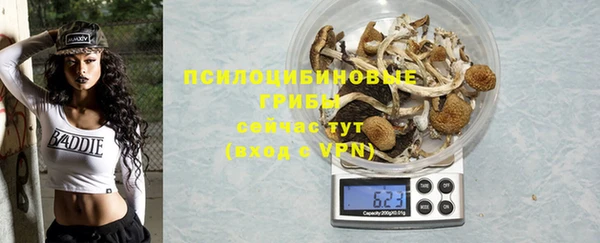 винт Алексин