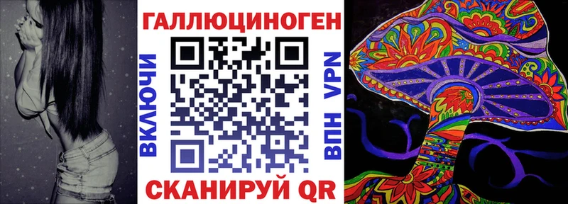 где найти наркотики  Щигры  Псилоцибиновые грибы GOLDEN TEACHER 
